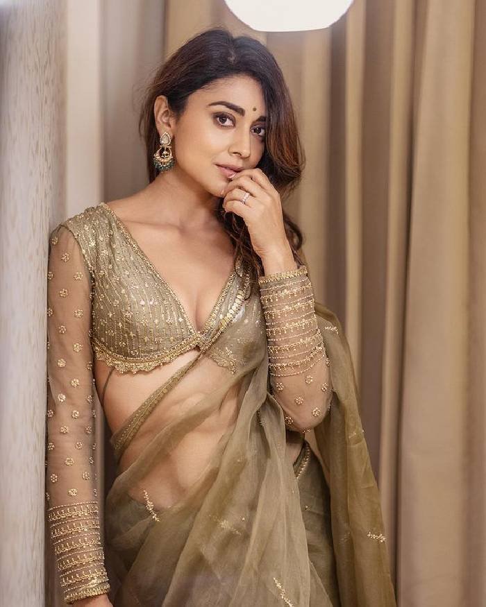shriya saran_teluguvox_11